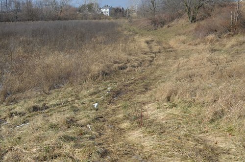 Property photo 13 - East Allen County Land Auction - 40 Acres in 2 Tracts